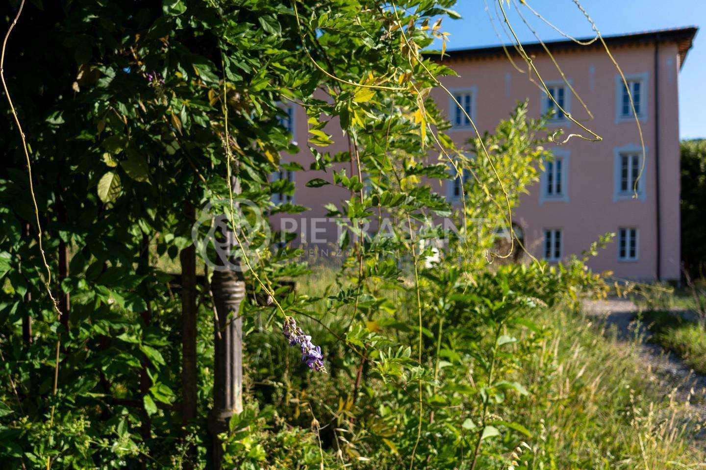  - foto 37
