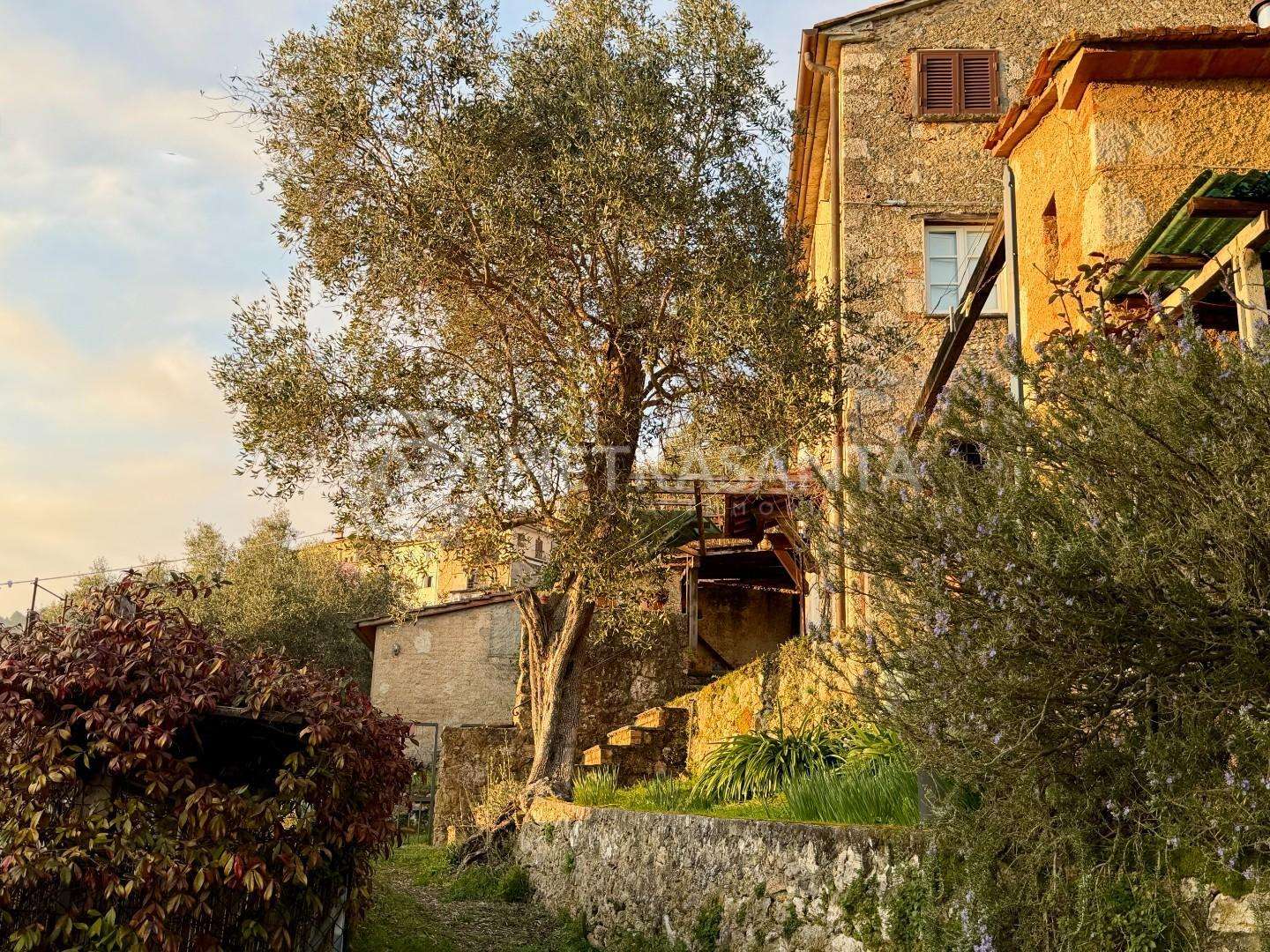 Casa Bi - Trifamiliare Pietrasanta LU,, Pietrasanta