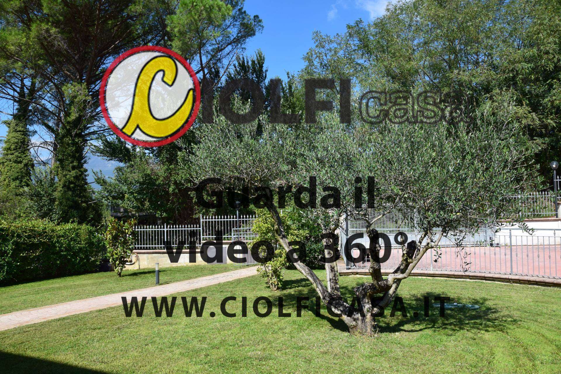  - foto 3