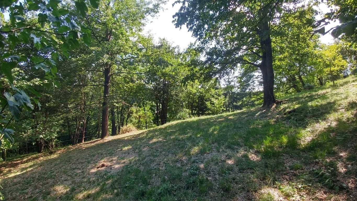  - foto 25