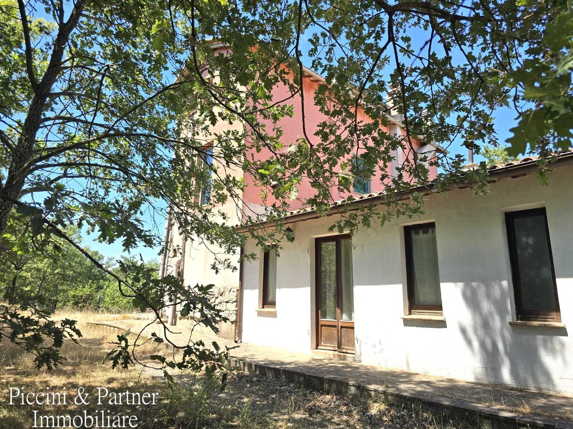  - foto 51