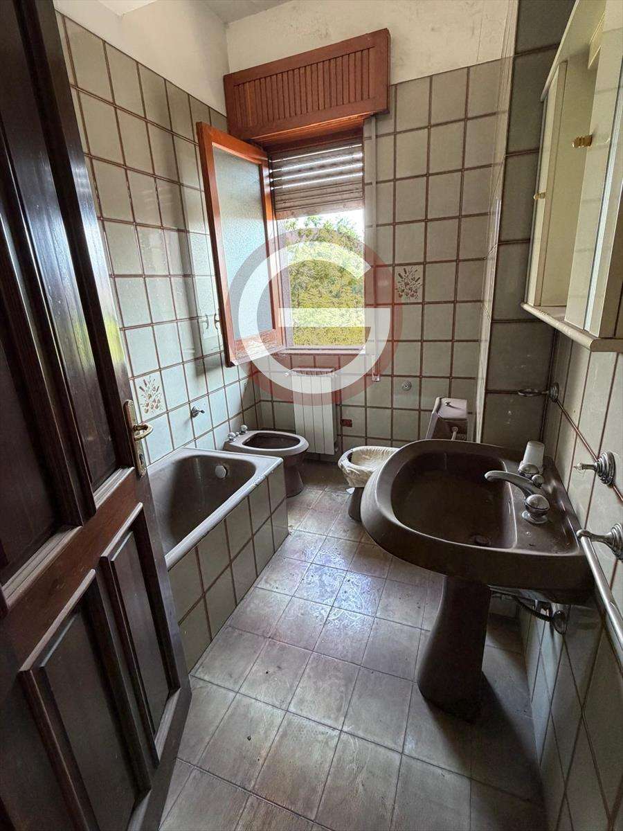  - foto 13