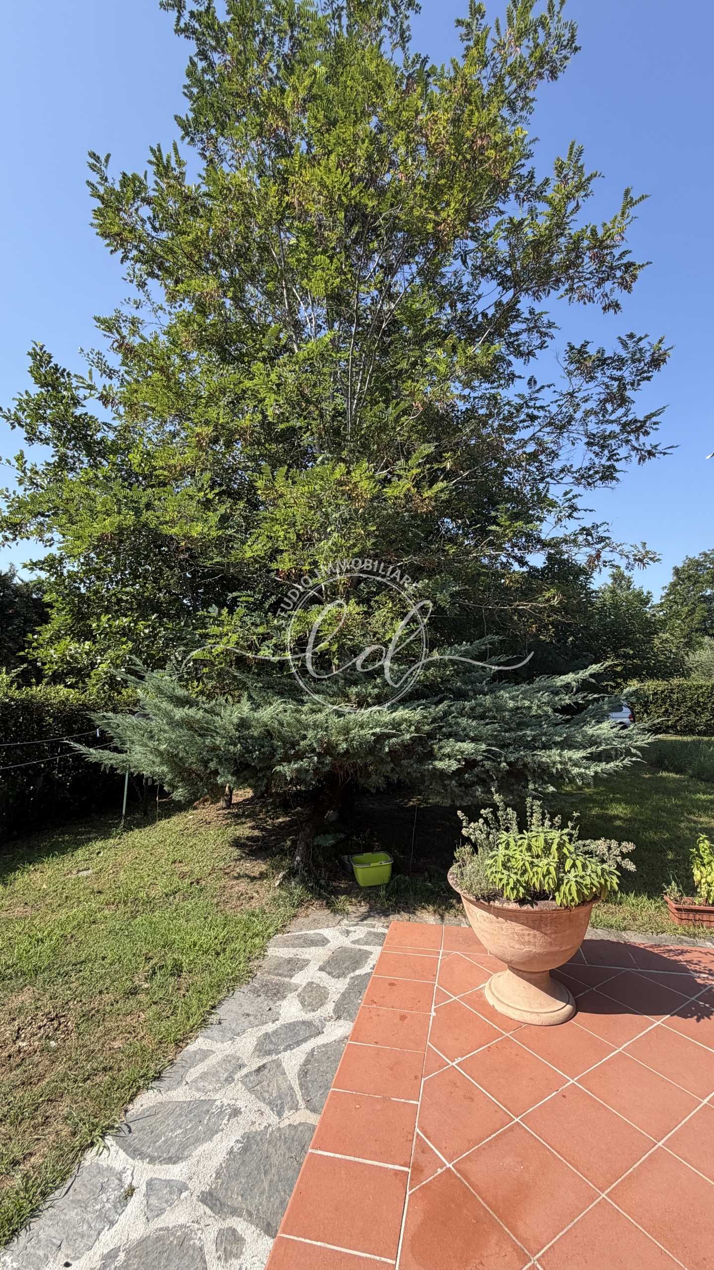  - foto 114