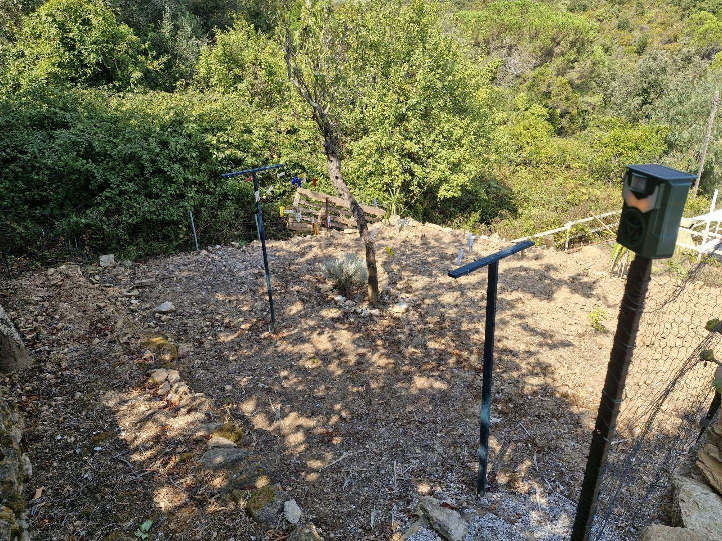  - foto 36