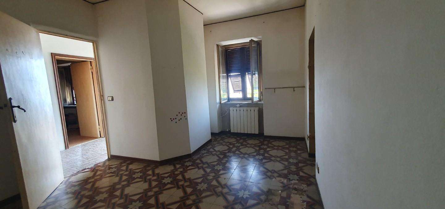  - foto 13