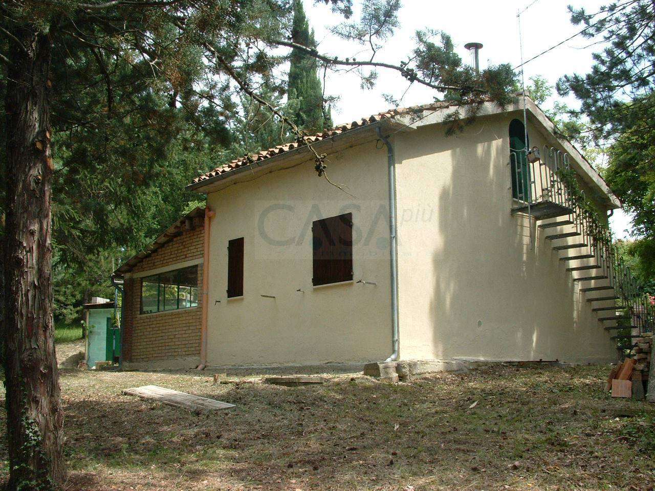 - foto 2
