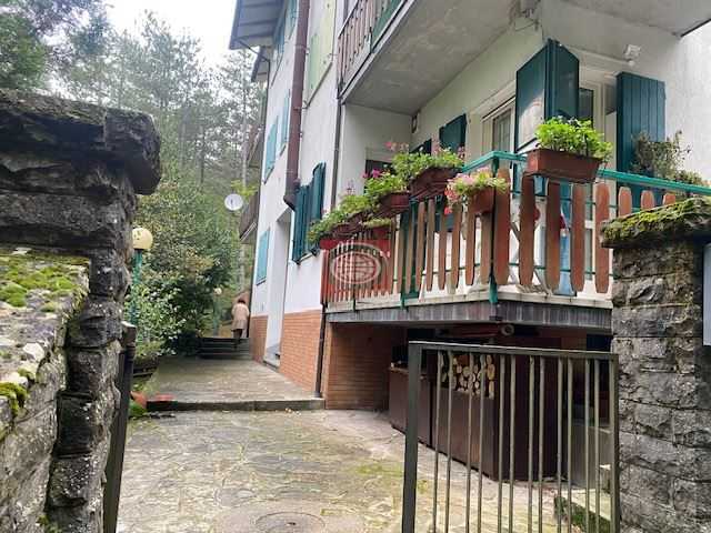  - foto 2