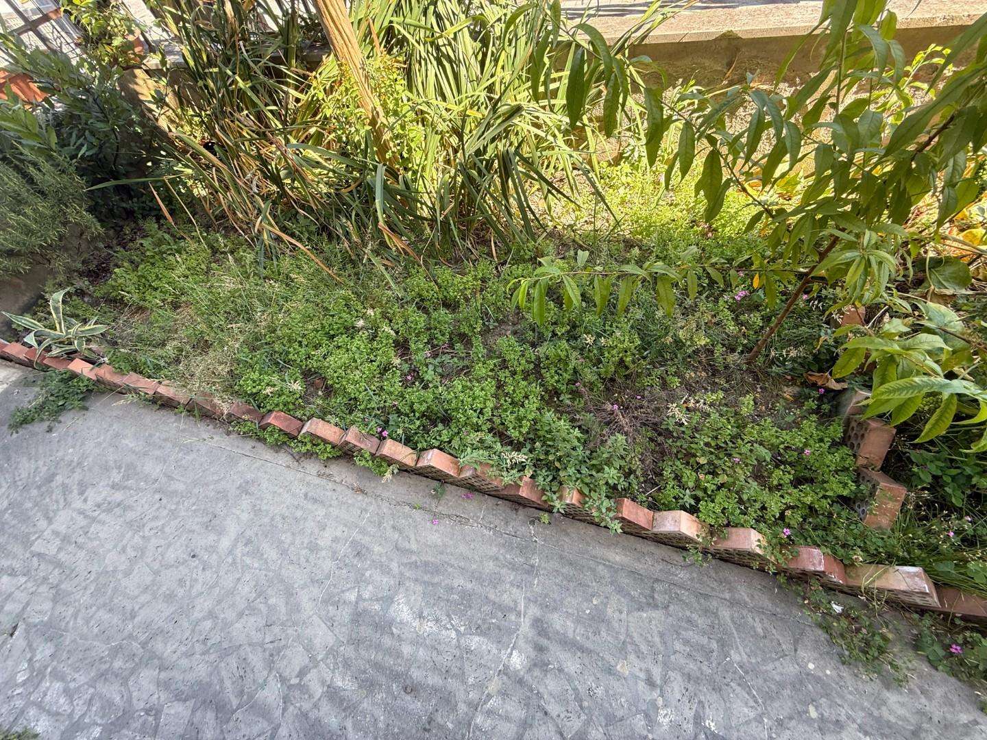  - foto 10
