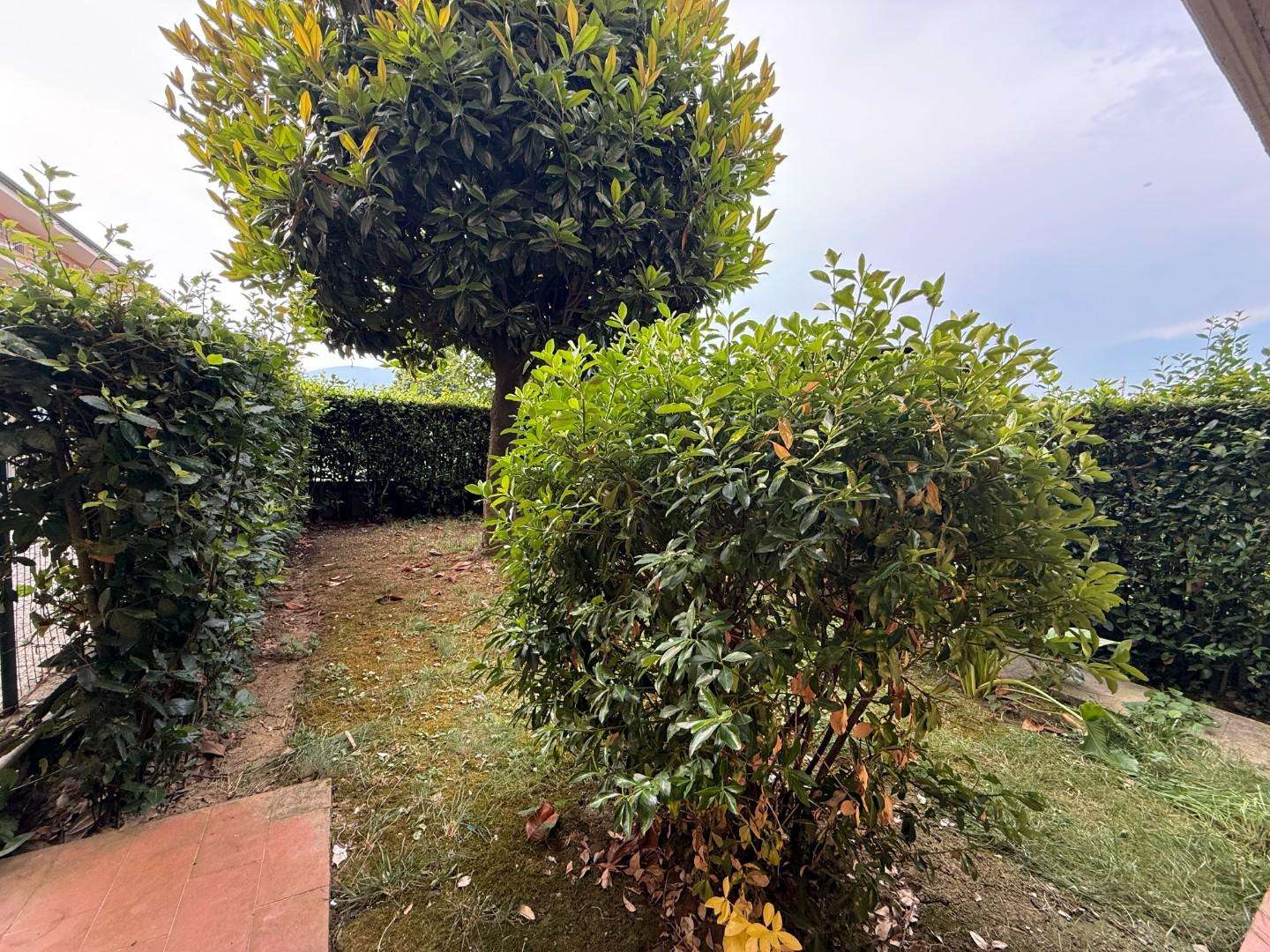  - foto 36