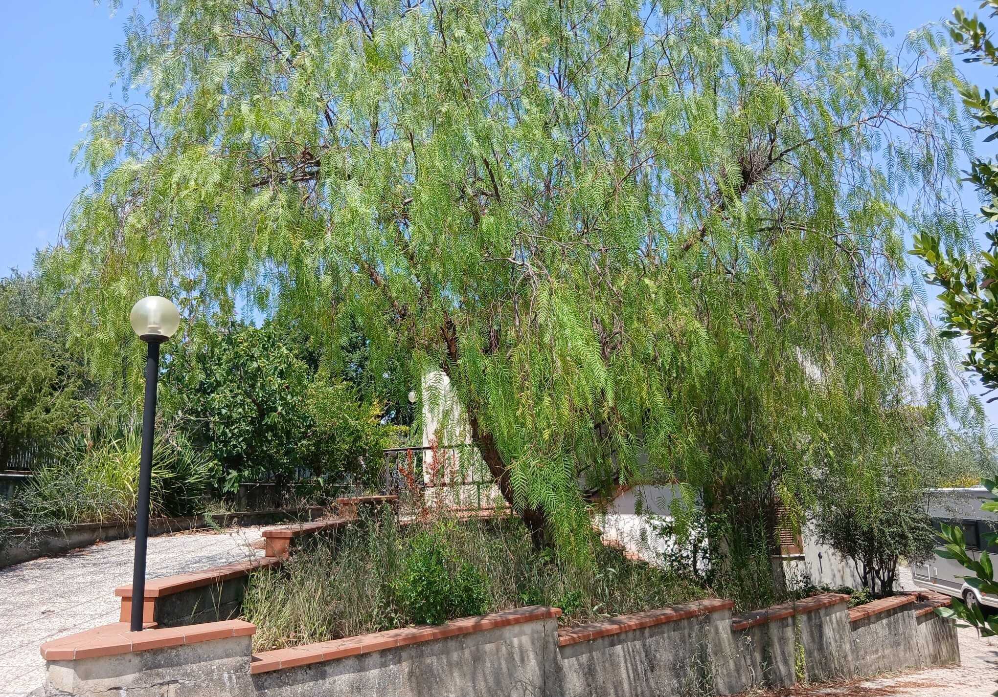  - foto 2