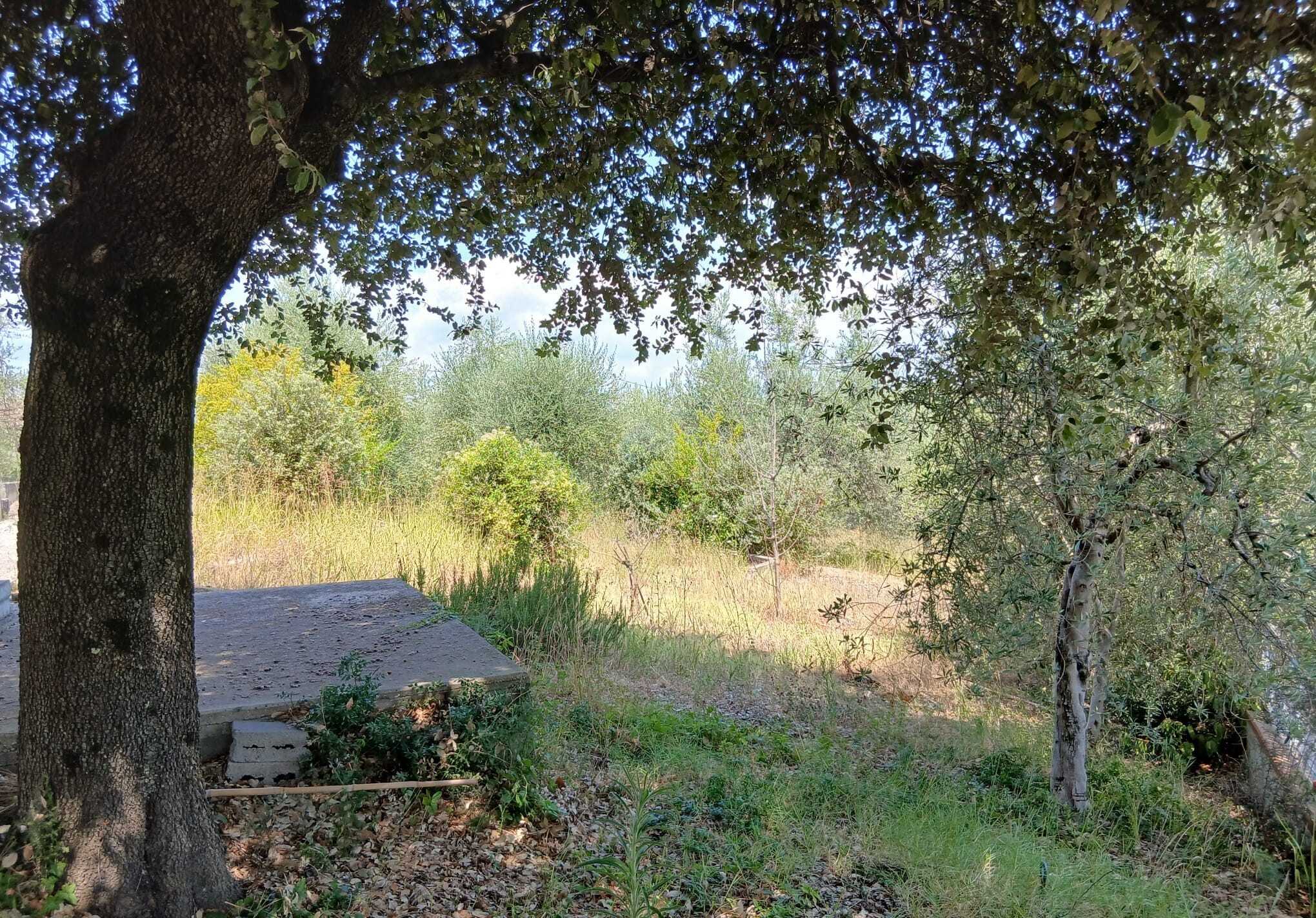 - foto 24