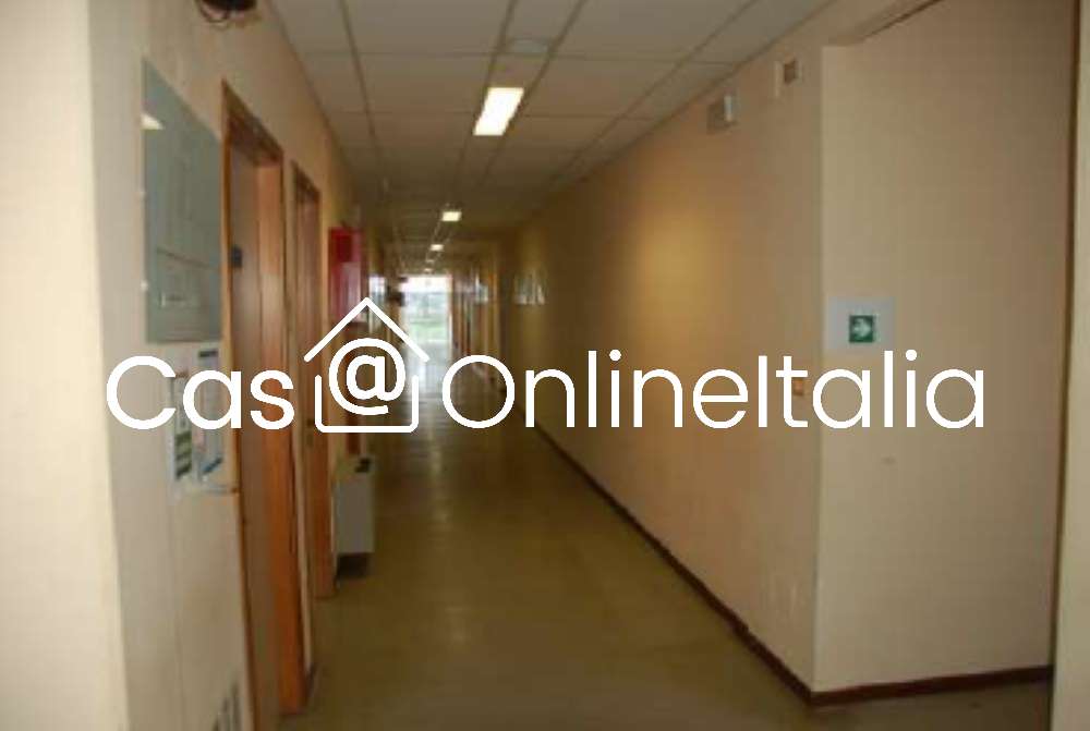  - foto 14