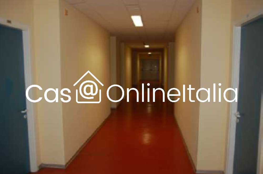  - foto 27