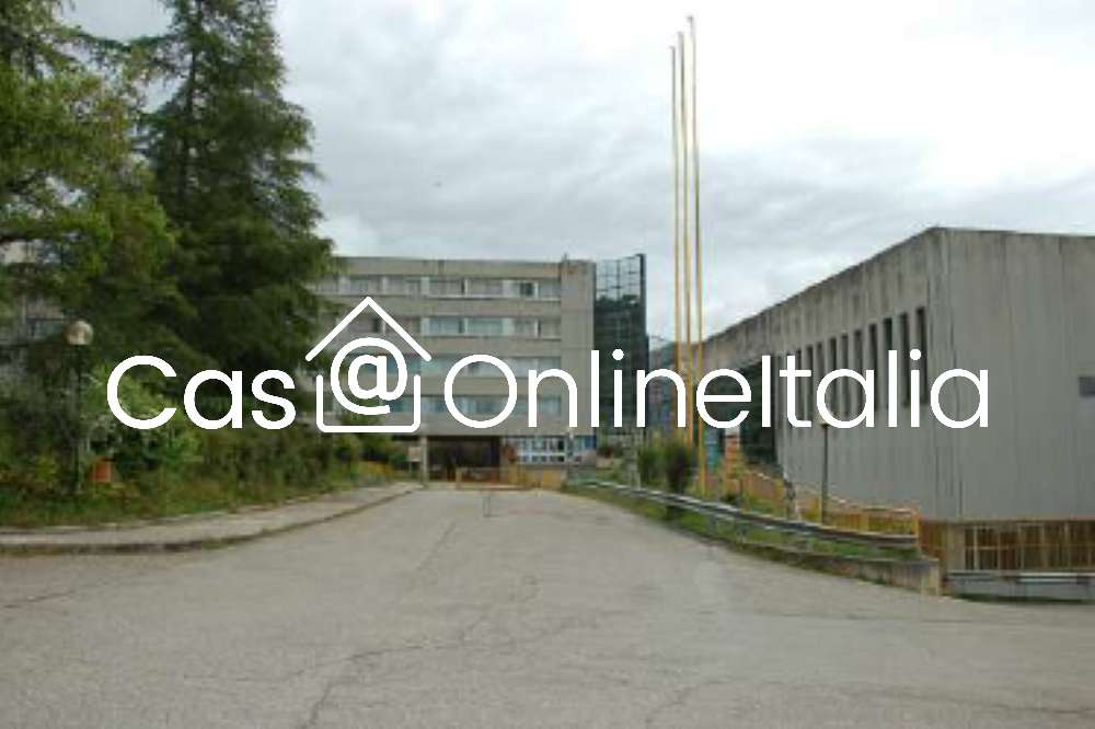  - foto 31