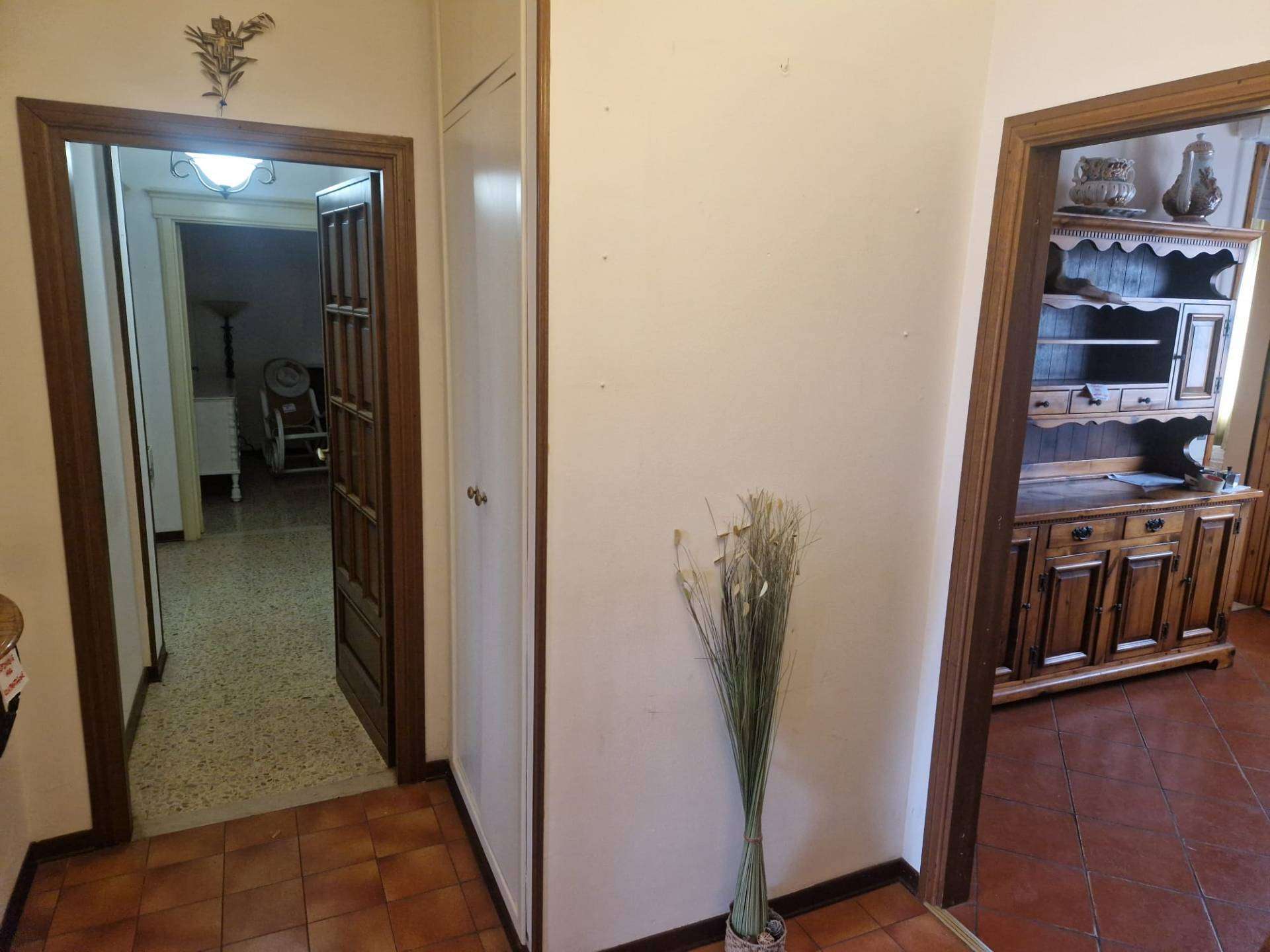  - foto 13