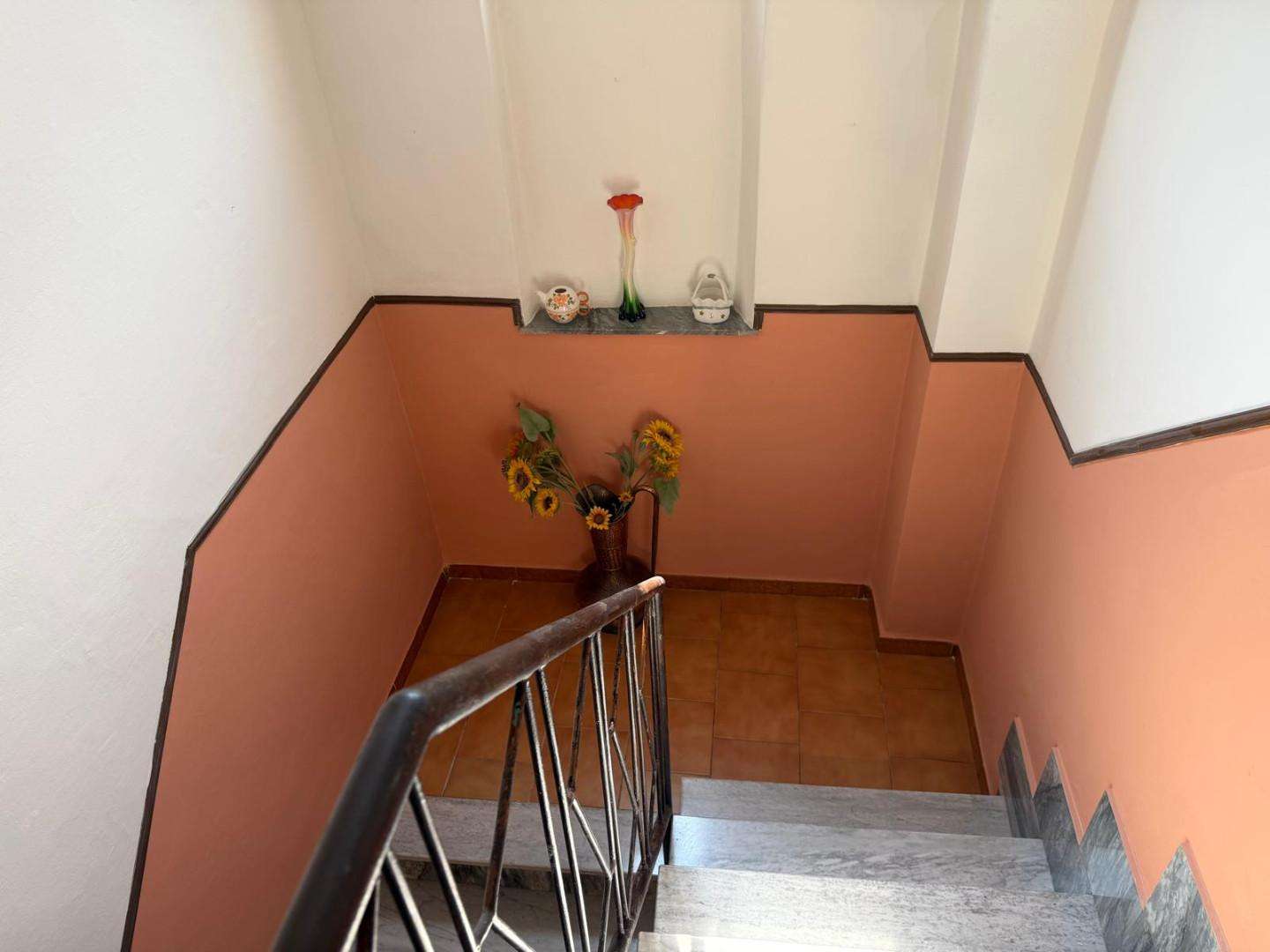  - foto 13