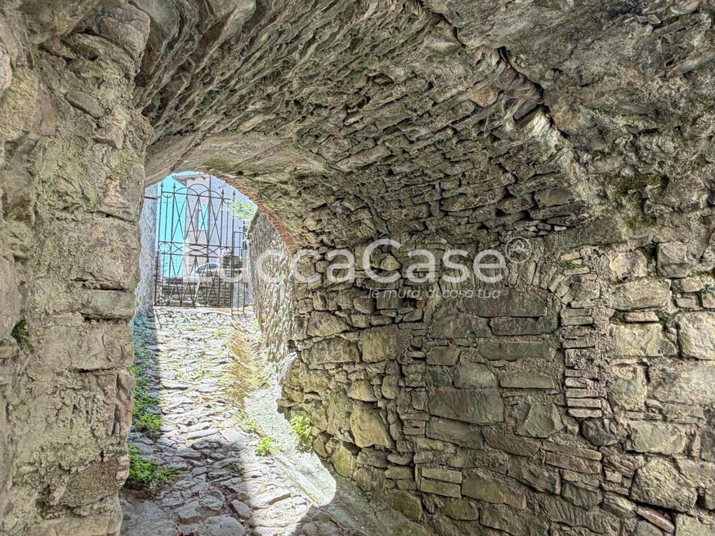  - foto 61