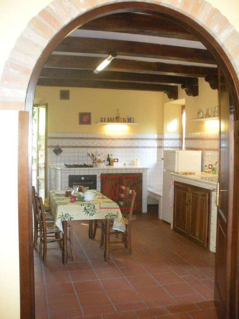  - foto 11