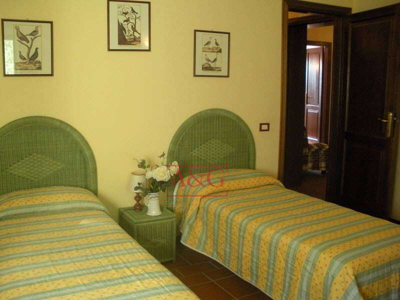  - foto 16