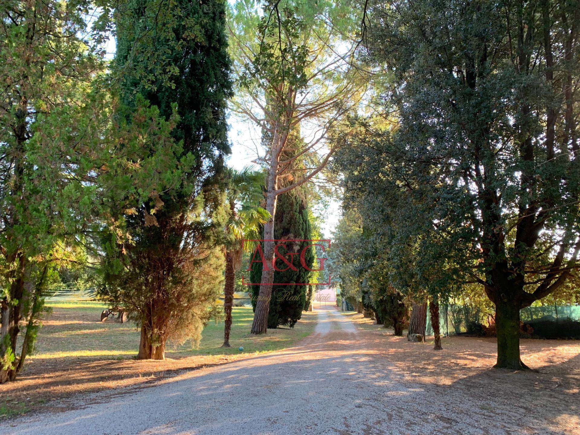  - foto 28