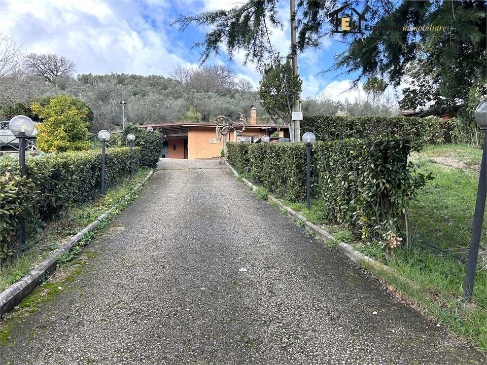  - foto 2