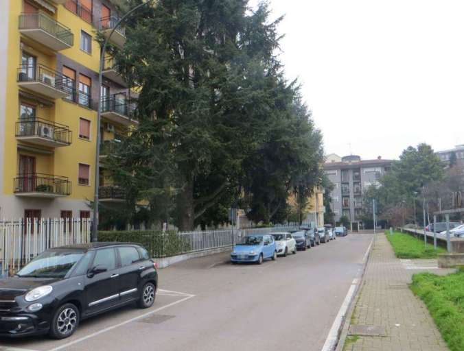  - foto 2