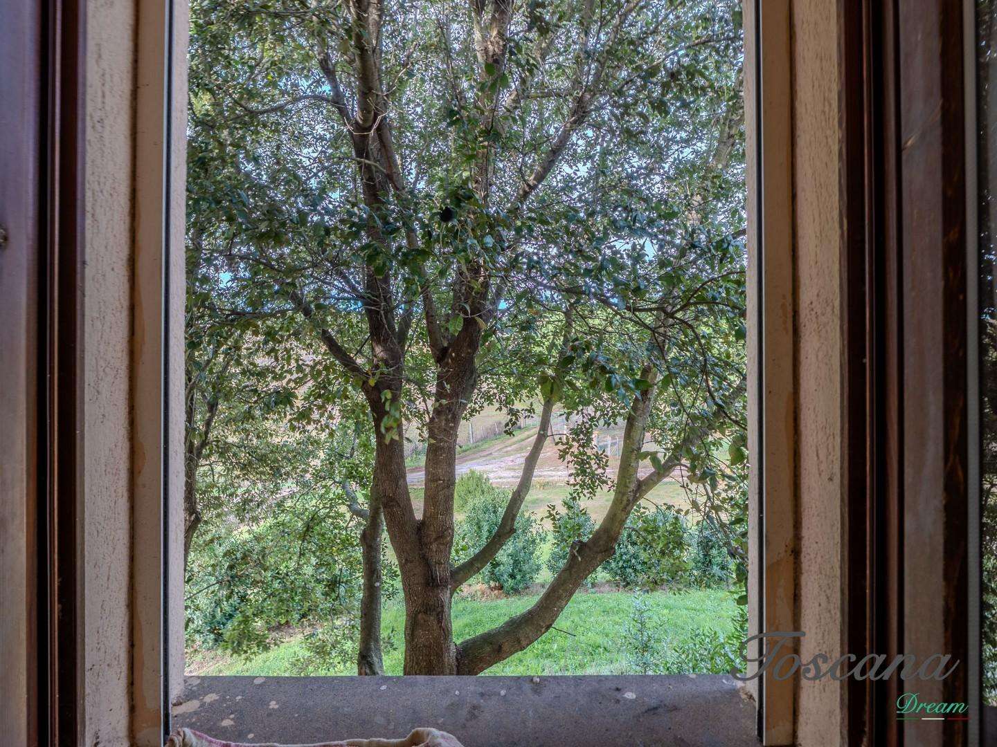  - foto 58