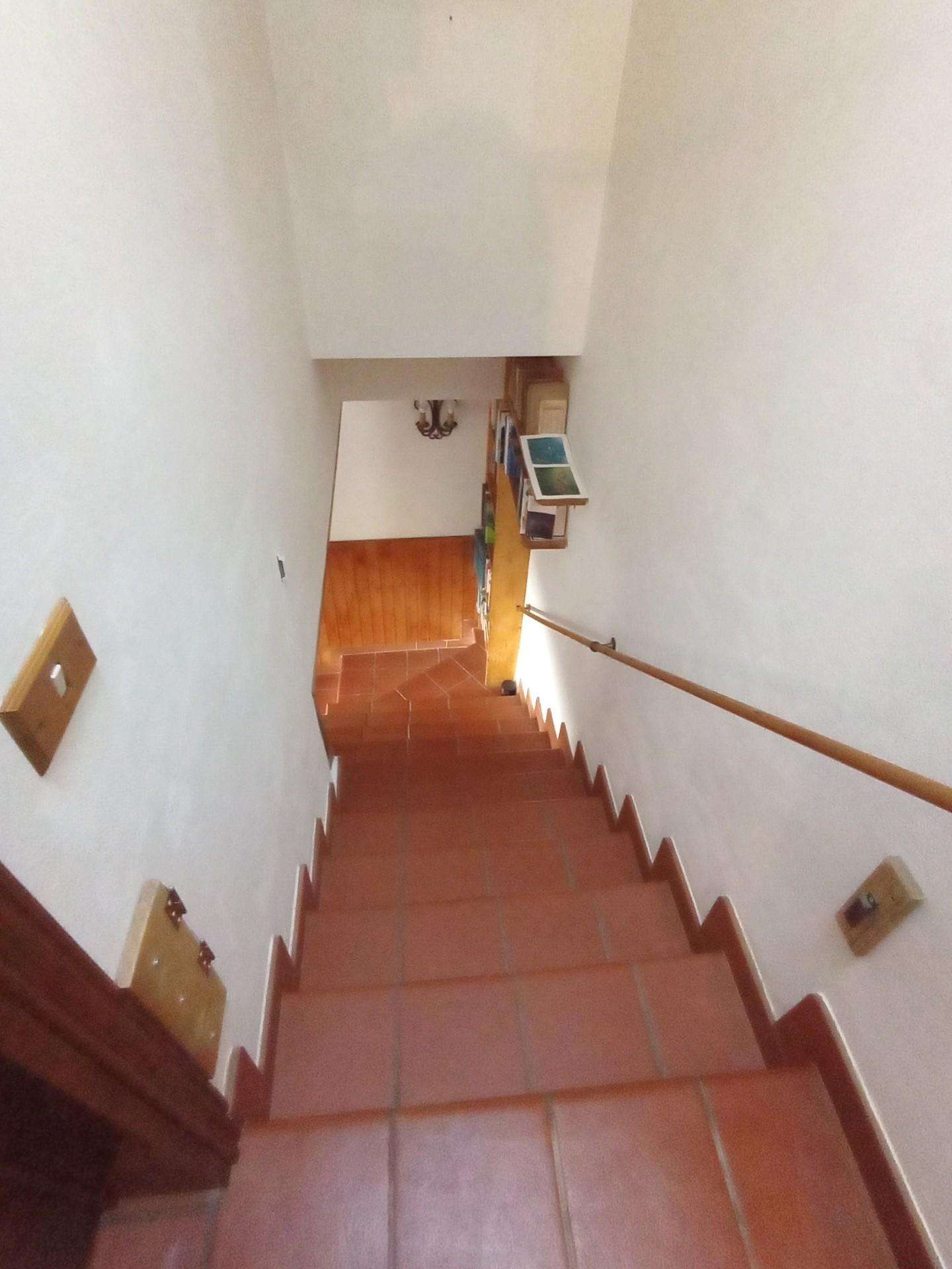  - foto 21