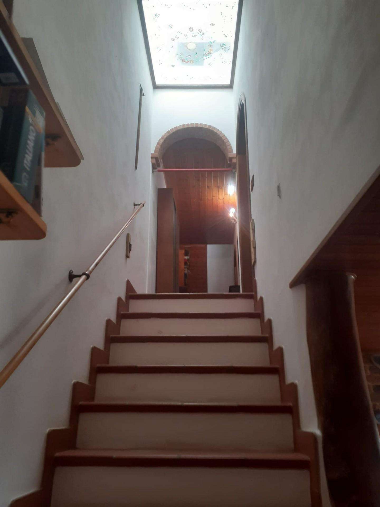  - foto 36