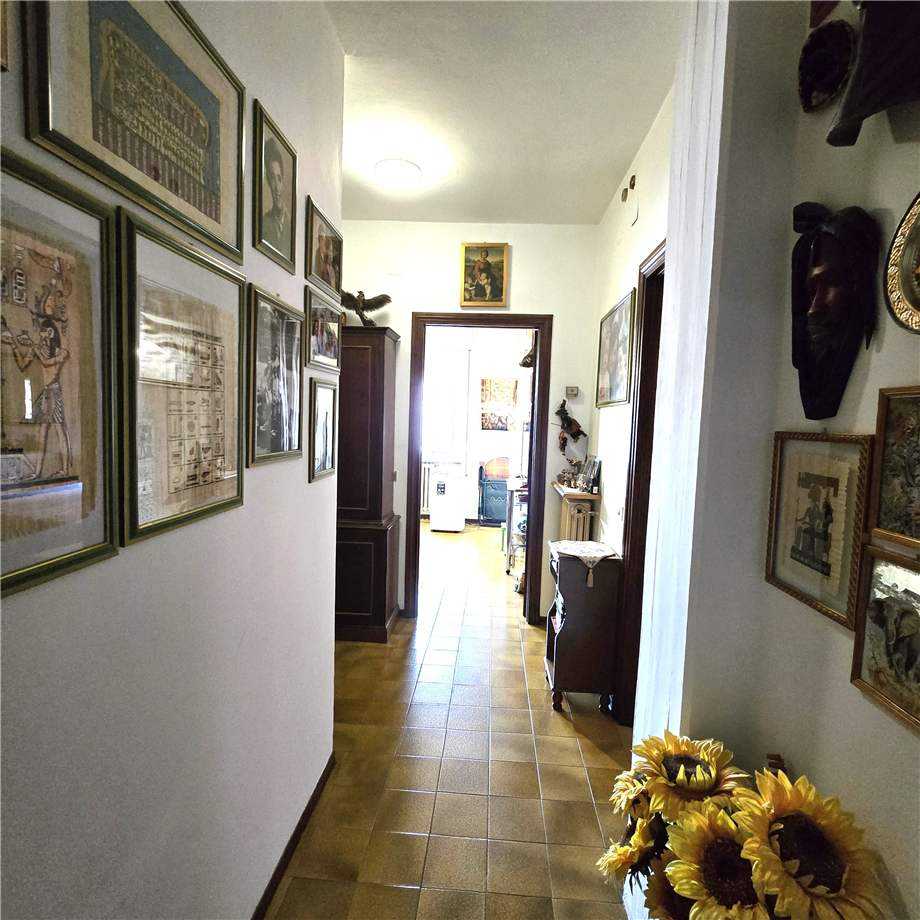  - foto 14