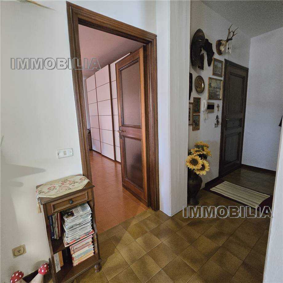  - foto 19