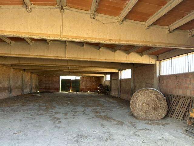  - foto 11