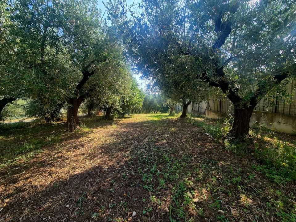  - foto 3