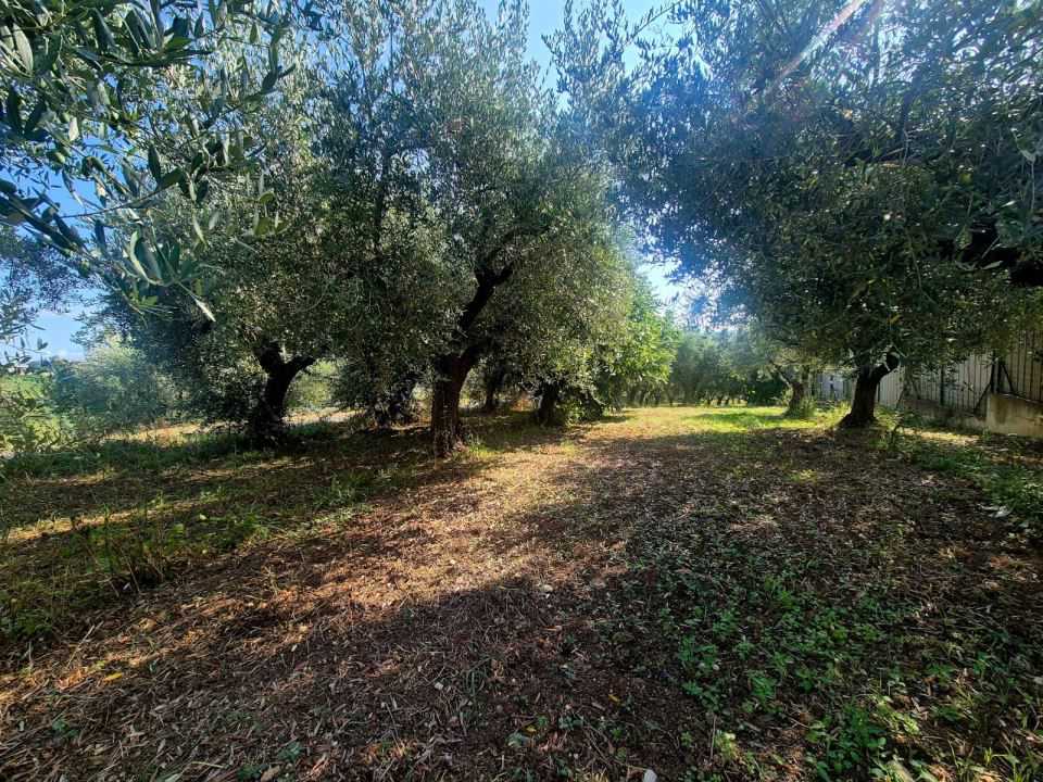  - foto 4