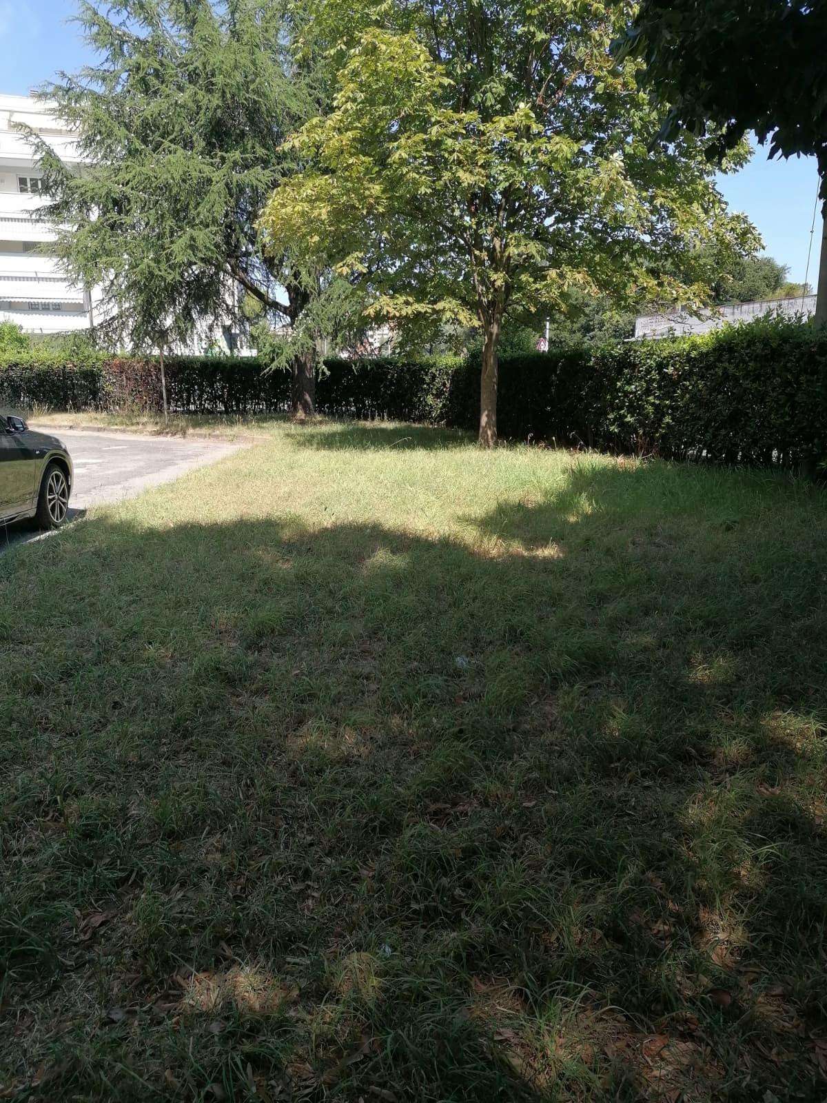  - foto 34
