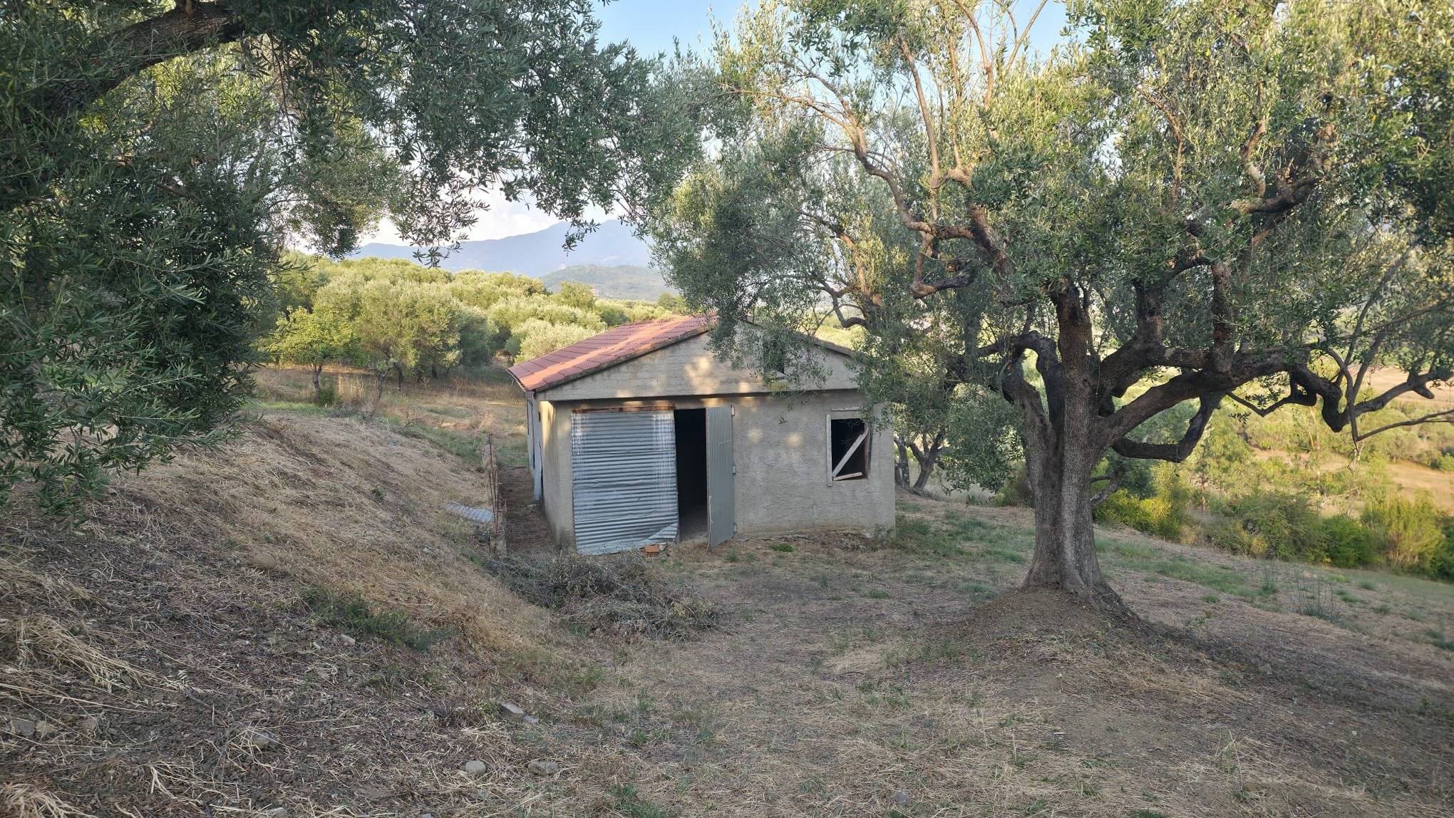 Altro via Metoio, Ceraso