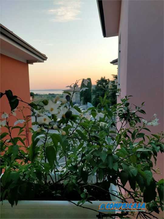  - foto 9