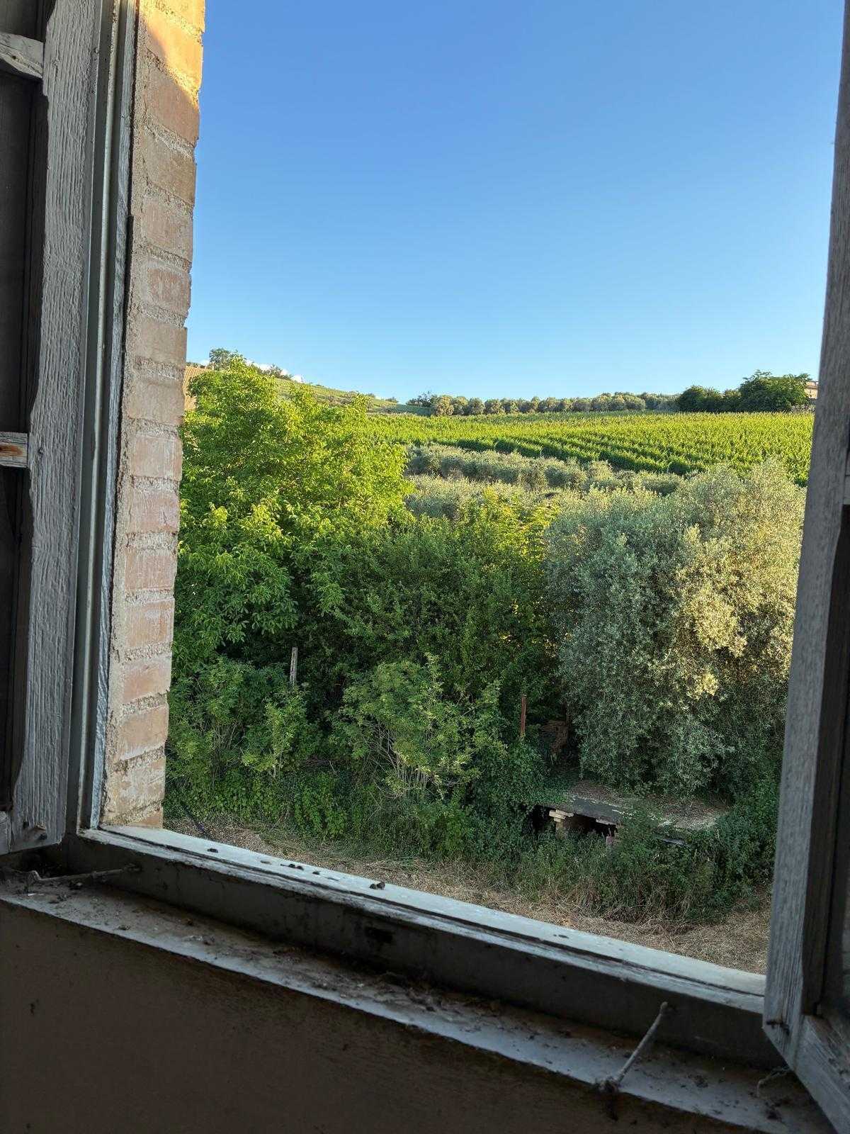  - foto 28