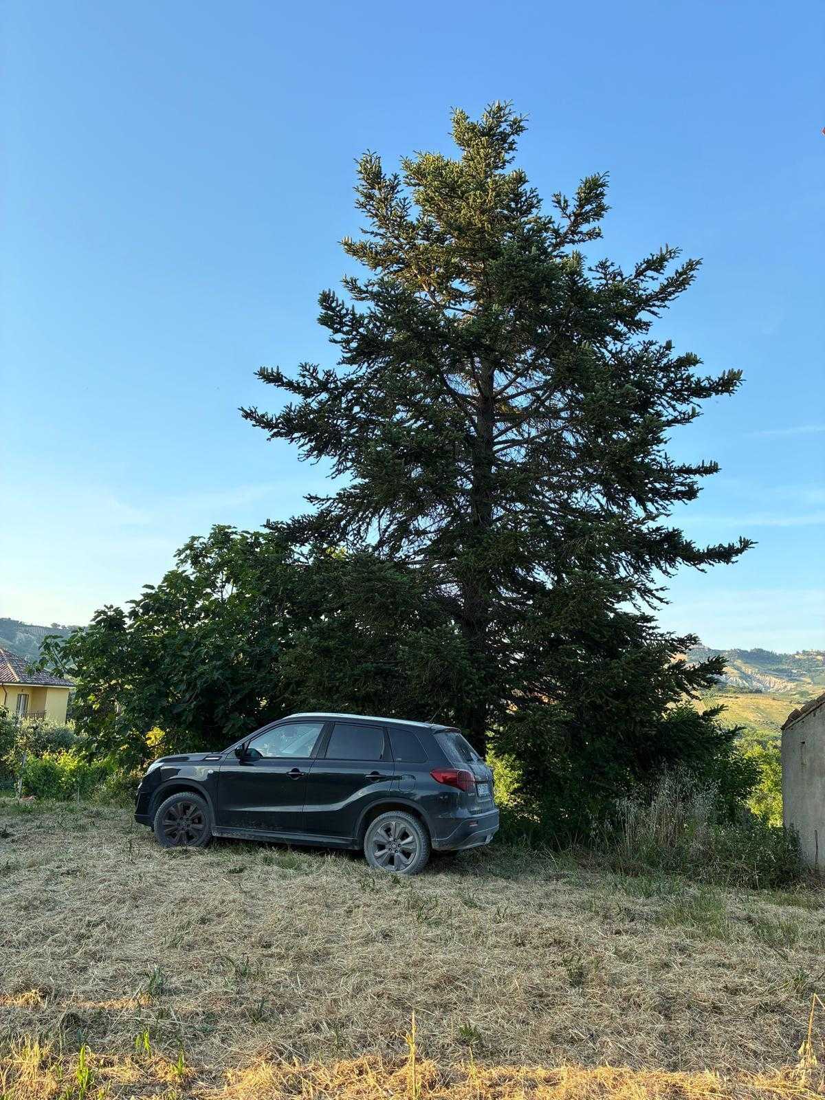  - foto 39
