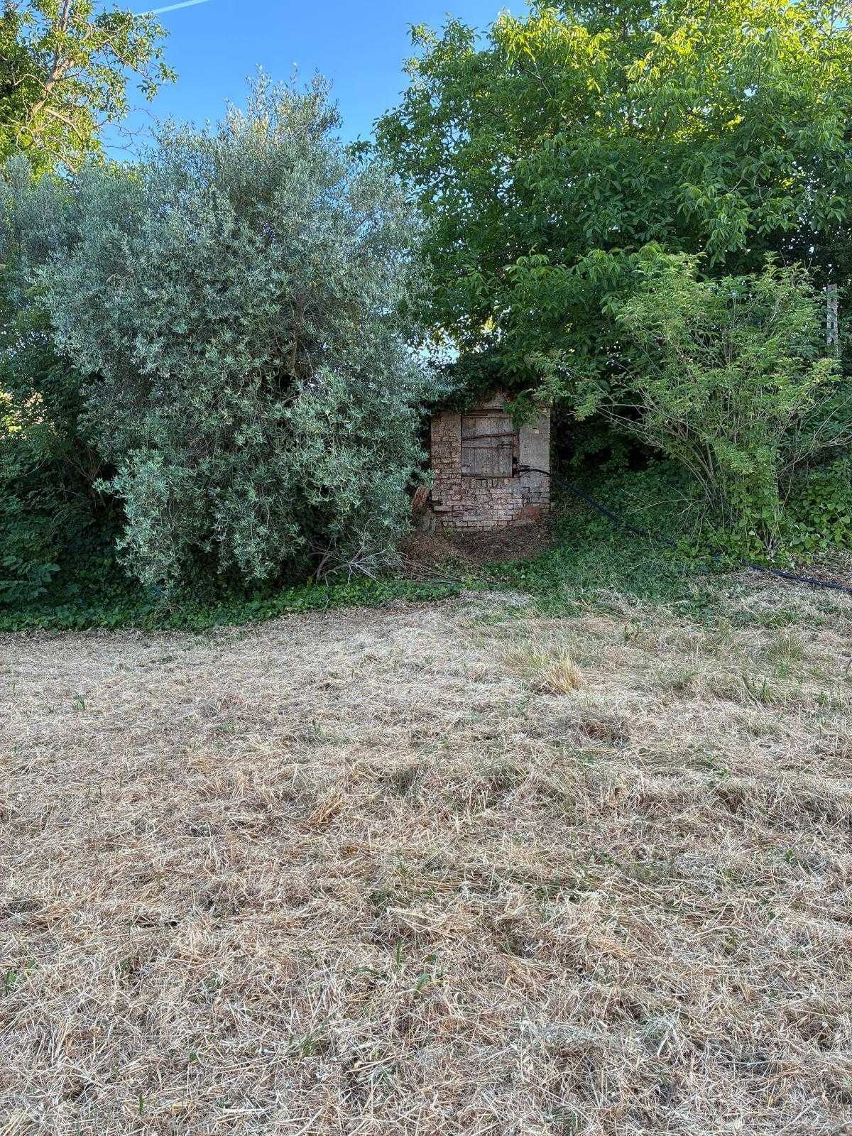  - foto 42