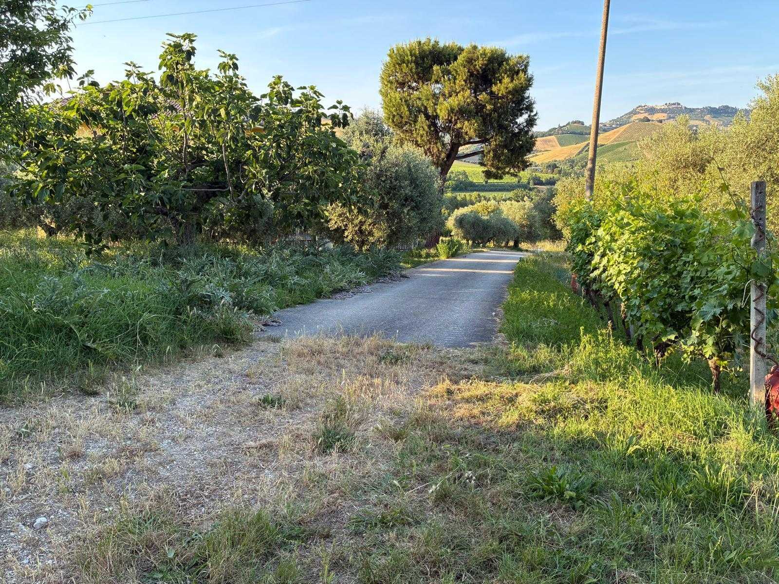  - foto 45