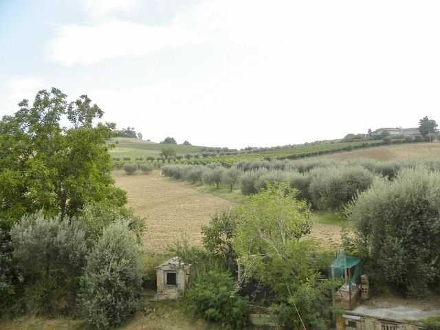  - foto 52