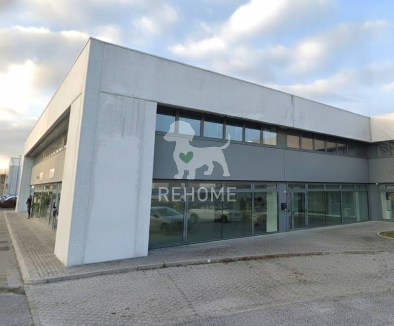 Capannone Periferia, Udine