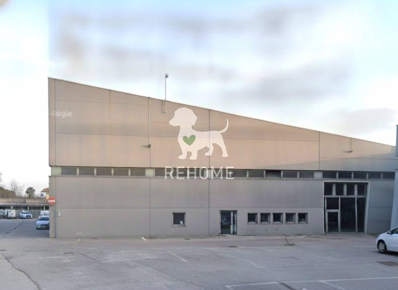  - foto 6
