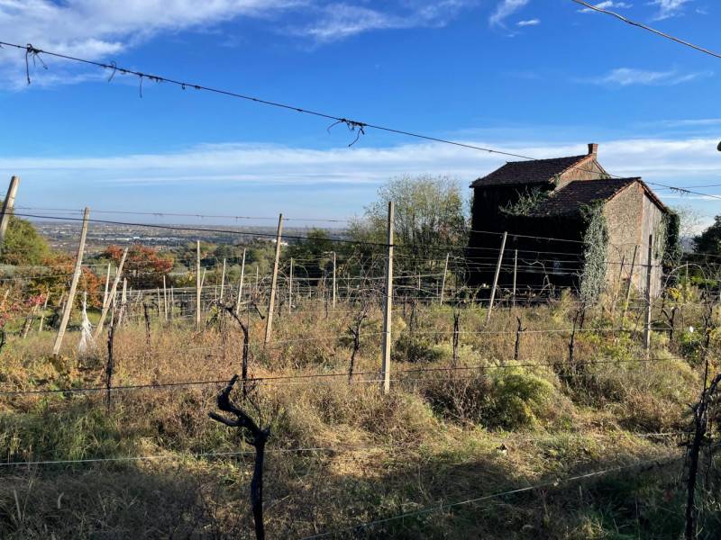 Rustico, Colceresa