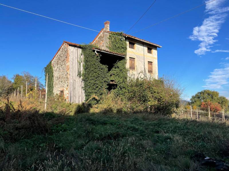  - foto 6