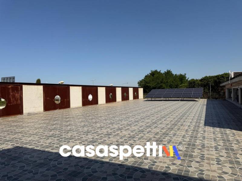  - foto 5