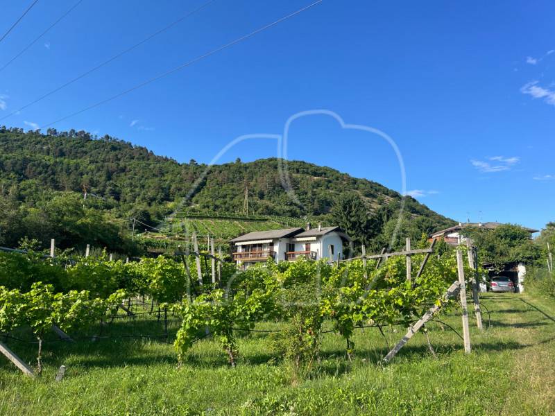 Casa indipendente Villamontagna, Trento