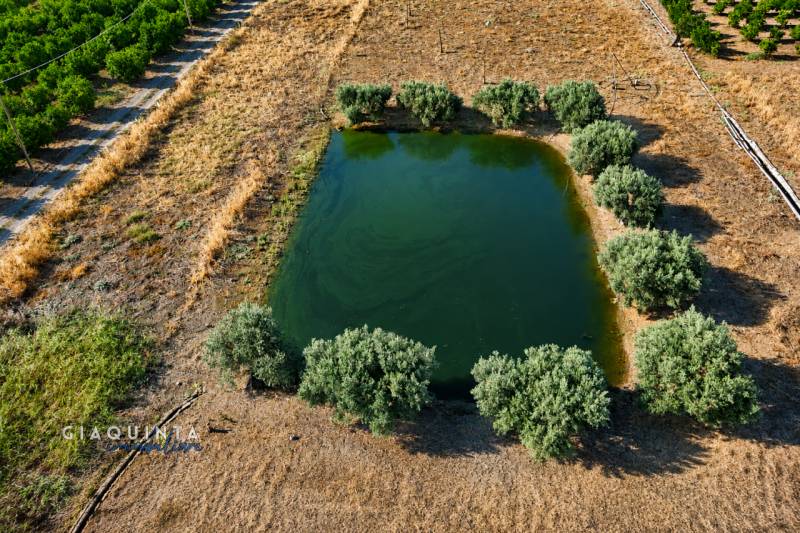 Terreno agricolo, Ramacca