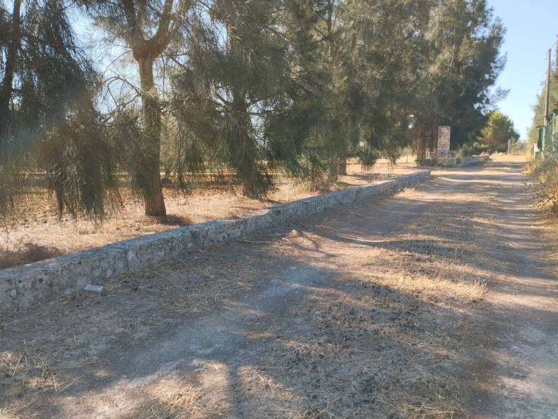 Terreno agricolo Parabita - Centro, Parabita